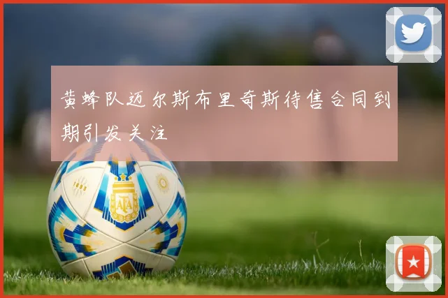 黄蜂队迈尔斯布里奇斯待售合同到期引发关注
