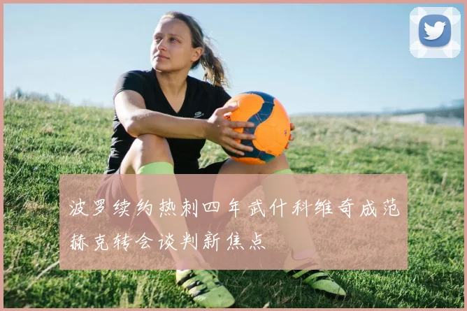 波罗续约热刺四年武什科维奇成范赫克转会谈判新焦点